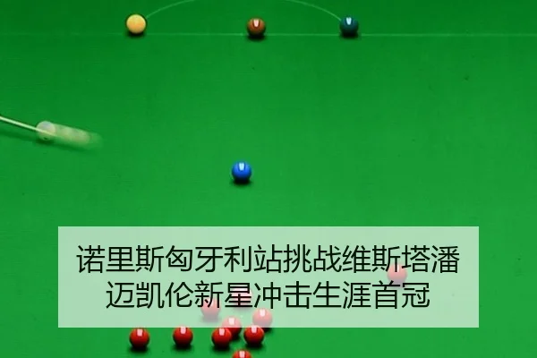 nuo-li-si-xiong-ya-li-zhan-tiao-zhan-wei-si-ta-pan-mai-kai-lun-xin-xing-chong-ji-sheng-ya-shou-guan-3-840.jpg